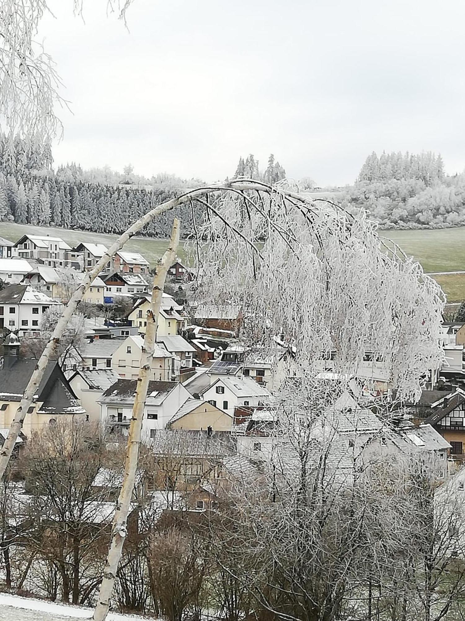 Am Lindenbaum, Ferienwohnung In Siebenbach Am Nuerburgring ภายนอก รูปภาพ