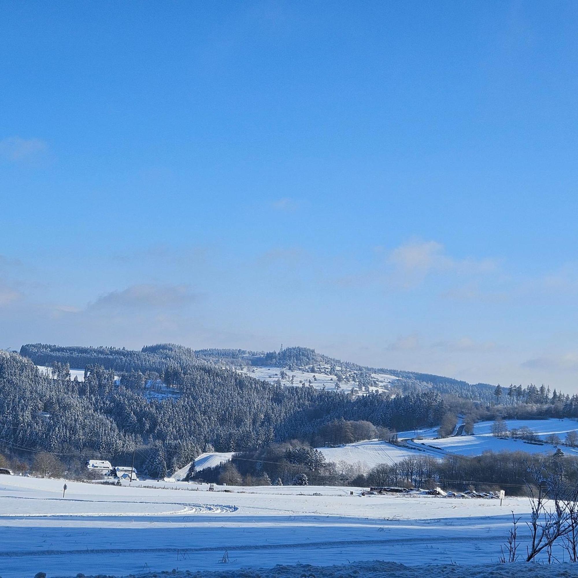 Am Lindenbaum, Ferienwohnung In Siebenbach Am Nuerburgring ภายนอก รูปภาพ