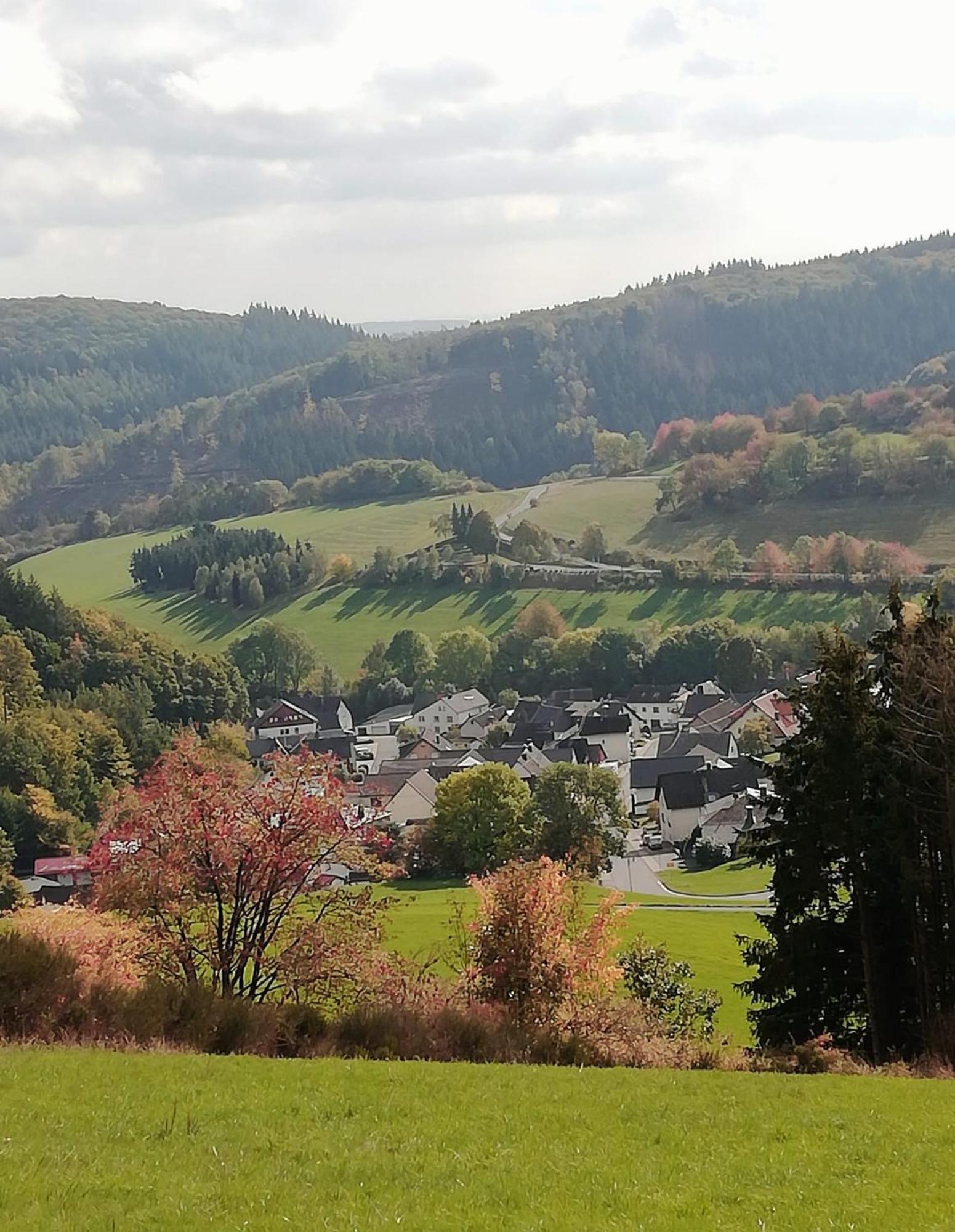 Am Lindenbaum, Ferienwohnung In Siebenbach Am Nuerburgring ภายนอก รูปภาพ